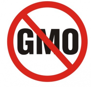 5 Foods You Need To Eliminate To Avoid GMOs