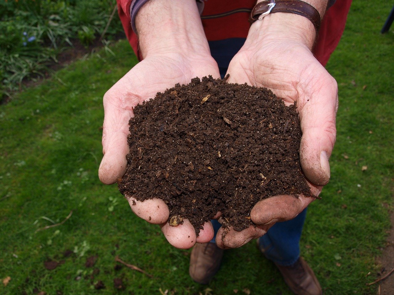 The Ultimate Guide To Composting
