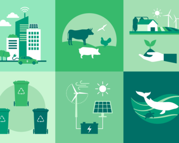 5 Sustainability Trends to Watch in 2022
